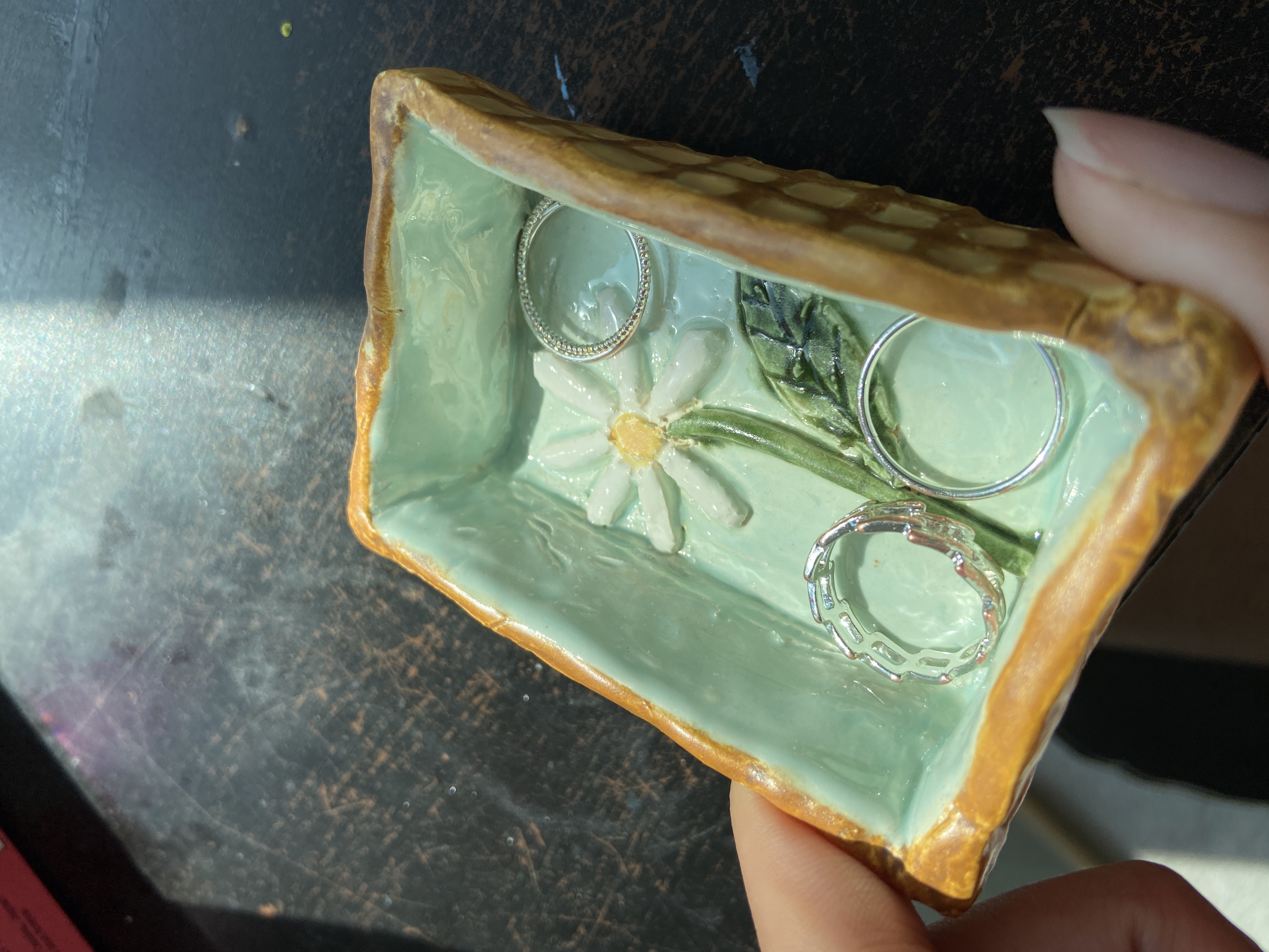 daisy dish in action.JPG